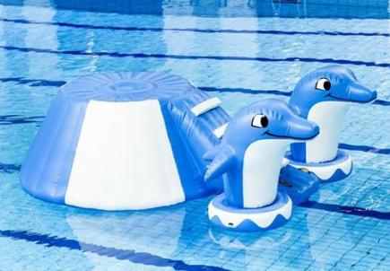 Eilandslide Dolfijn, 300x300x120 cm